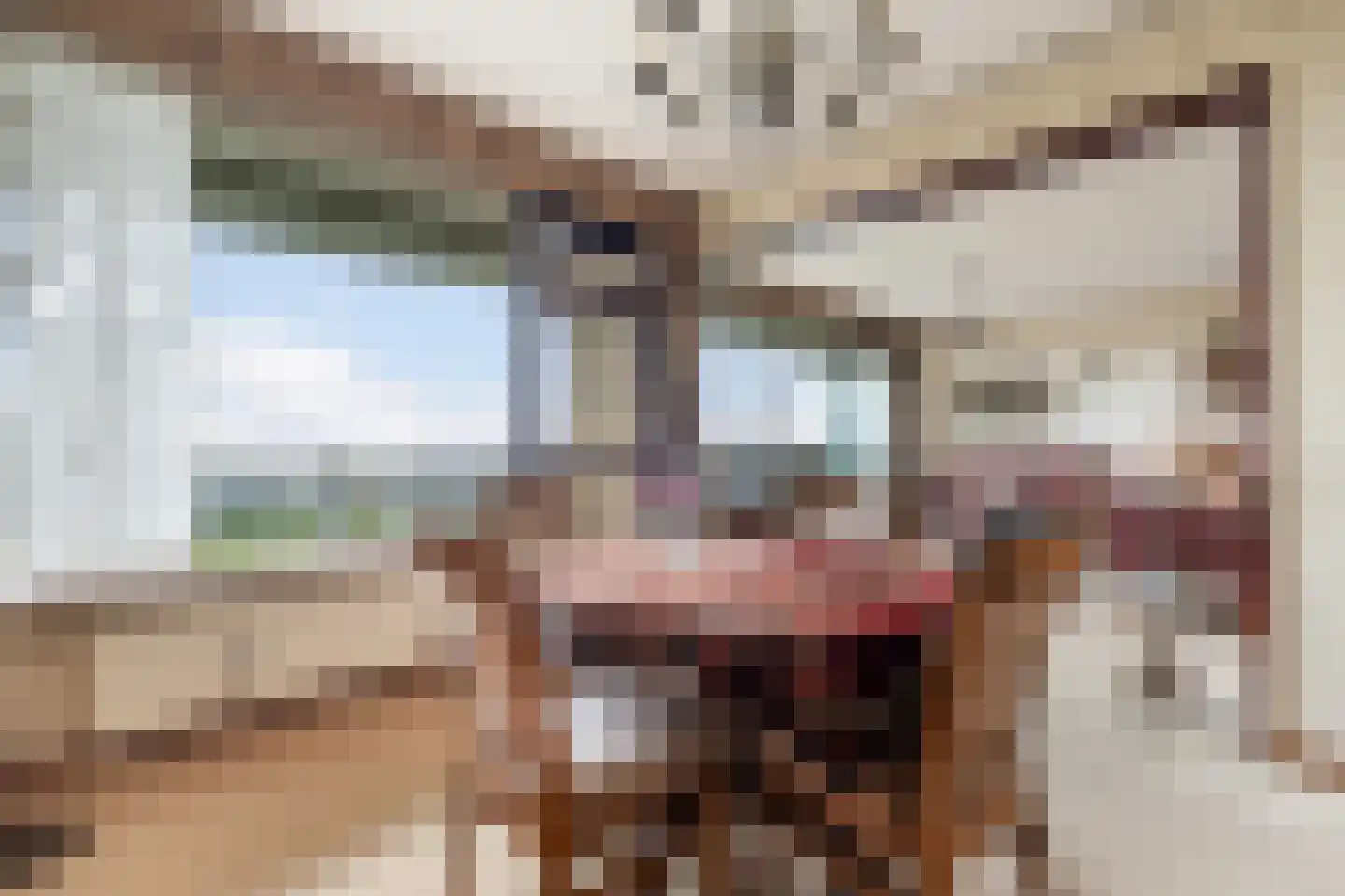 Seringenplantsoen 383 Ridderkerk thumbnail 4