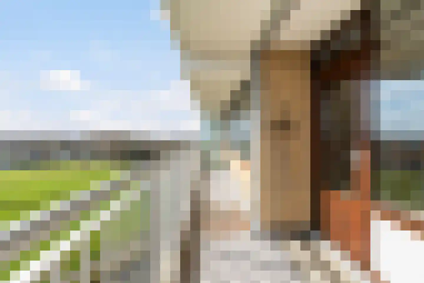 Seringenplantsoen 383 Ridderkerk thumbnail 5