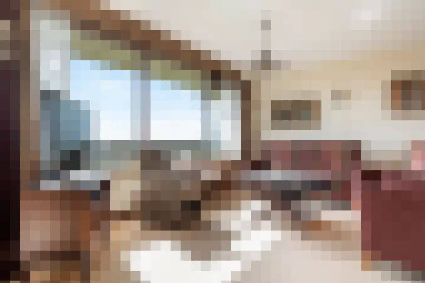 Seringenplantsoen 383 Ridderkerk thumbnail 9