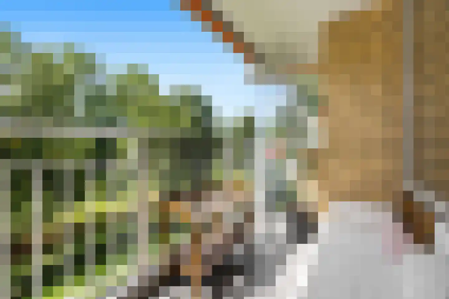 Seringenplantsoen 41 Ridderkerk thumbnail 13