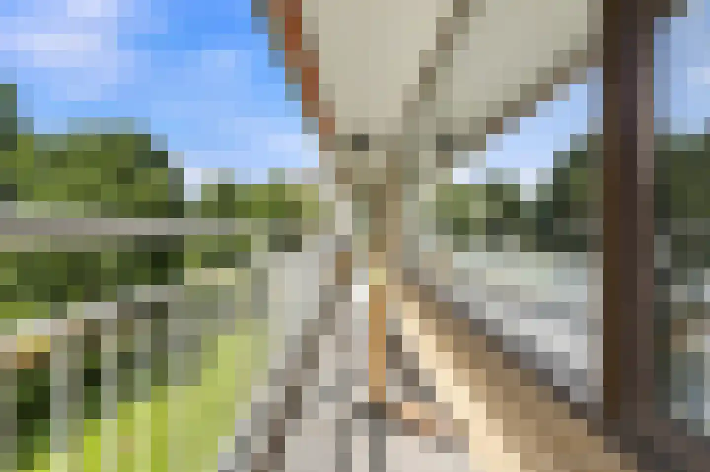 Seringenplantsoen 41 Ridderkerk thumbnail 15