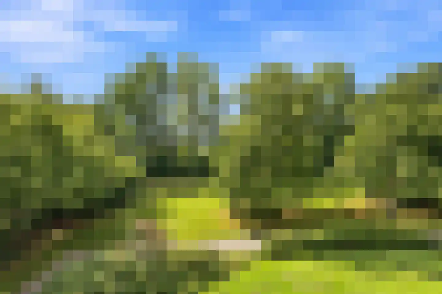 Seringenplantsoen 41 Ridderkerk thumbnail 16