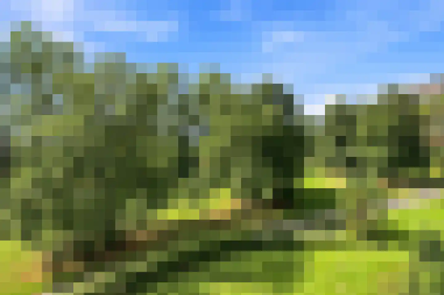 Seringenplantsoen 41 Ridderkerk thumbnail 17