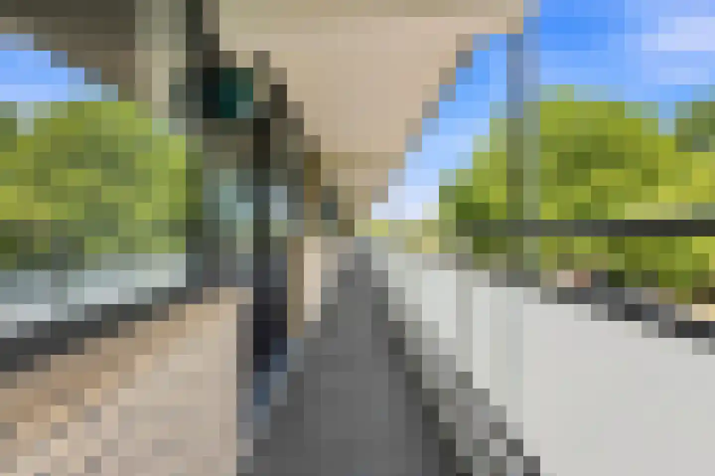 Seringenplantsoen 41 Ridderkerk thumbnail 30