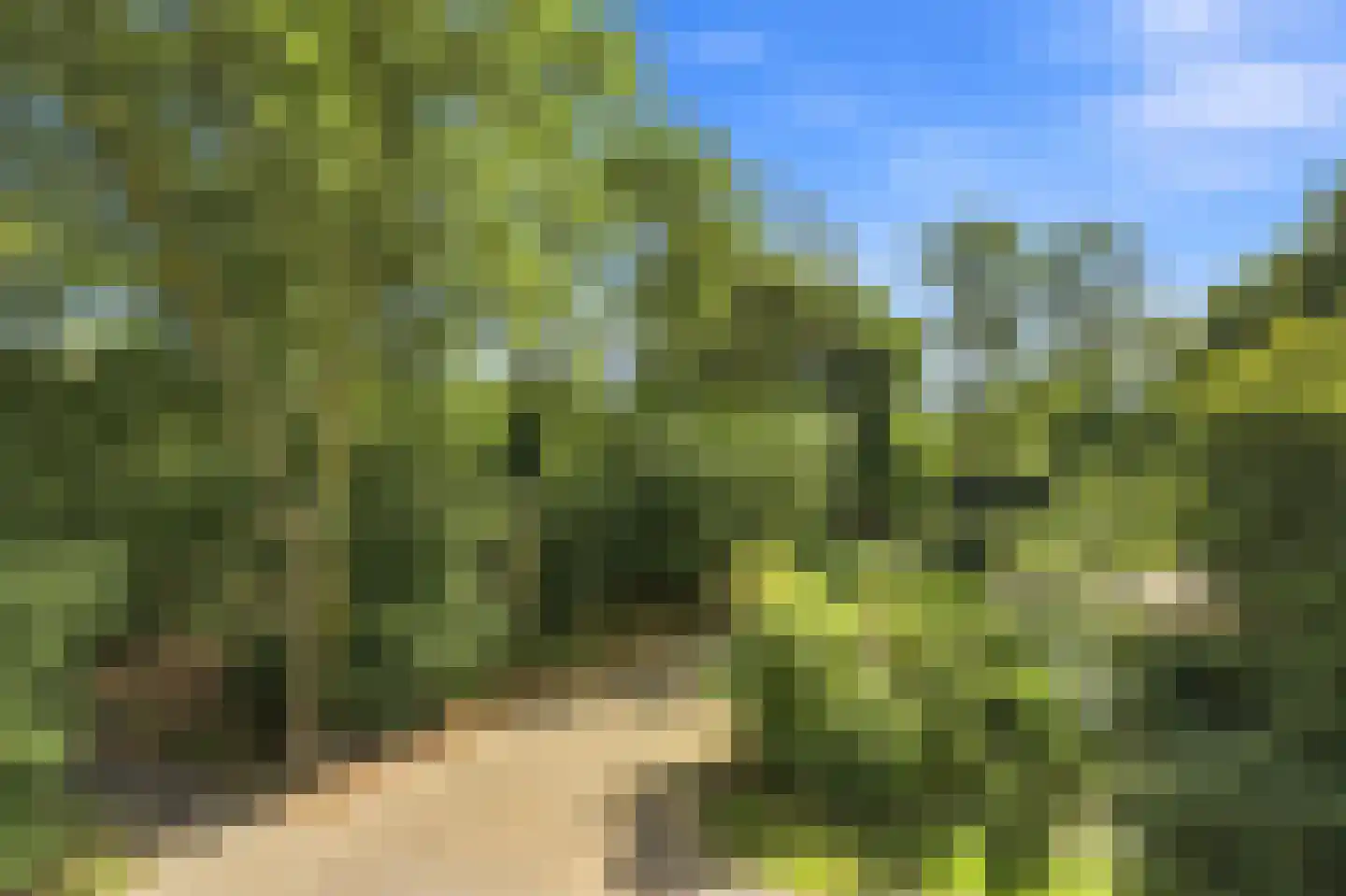 Seringenplantsoen 41 Ridderkerk thumbnail 32