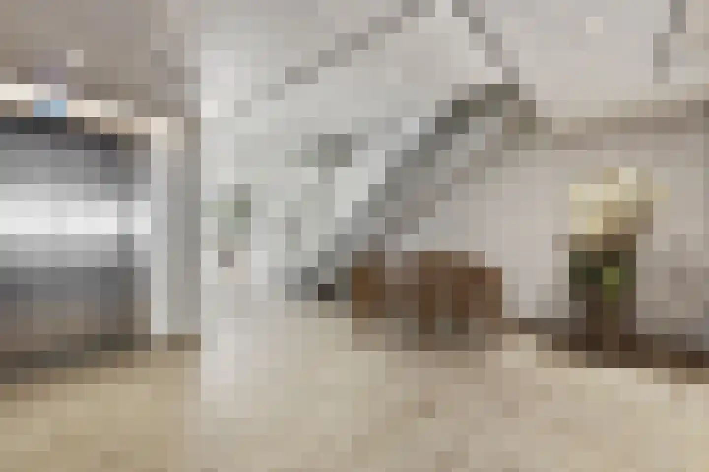 Seringenplantsoen 41 Ridderkerk thumbnail 37