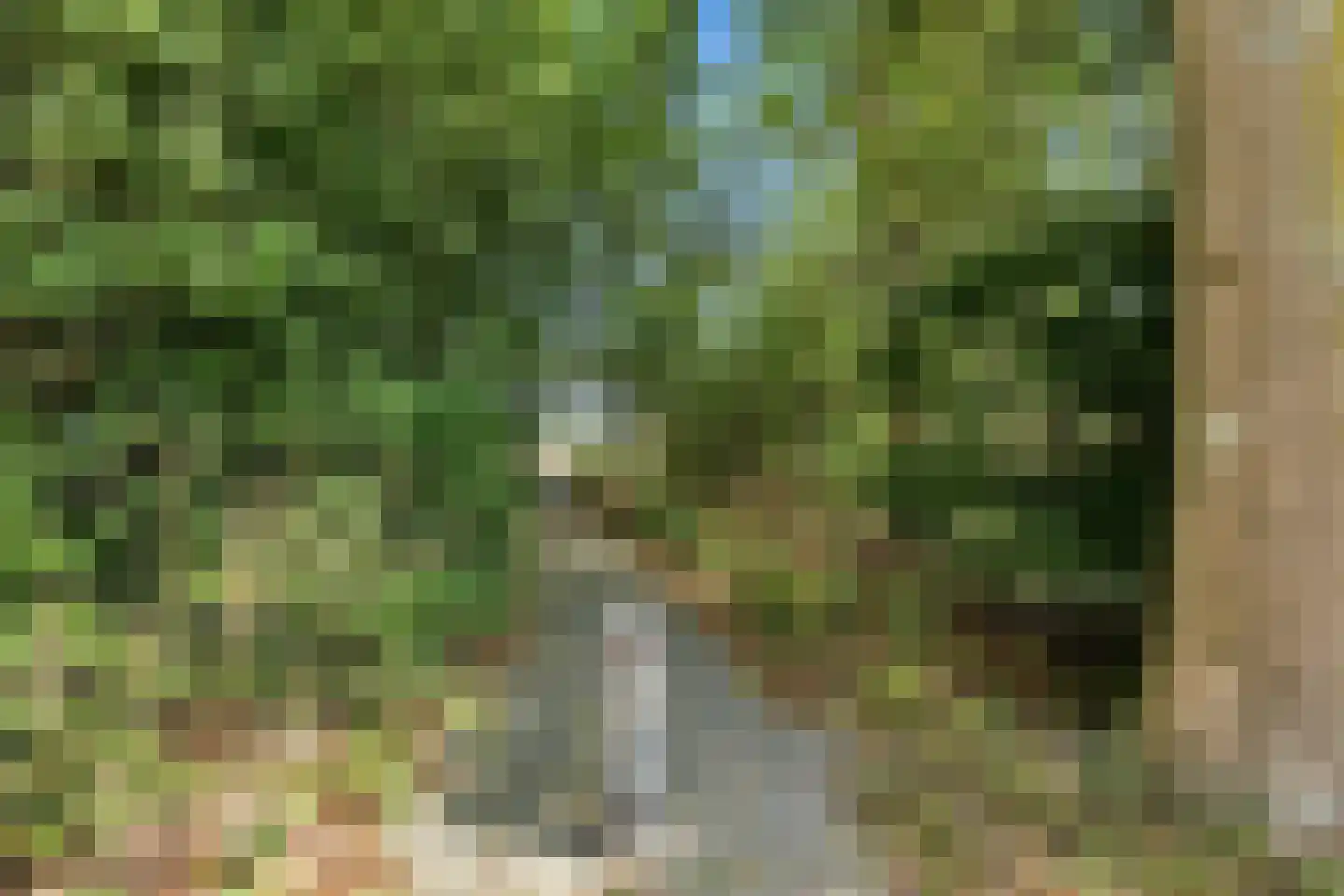 Seringenplantsoen 41 Ridderkerk thumbnail 39