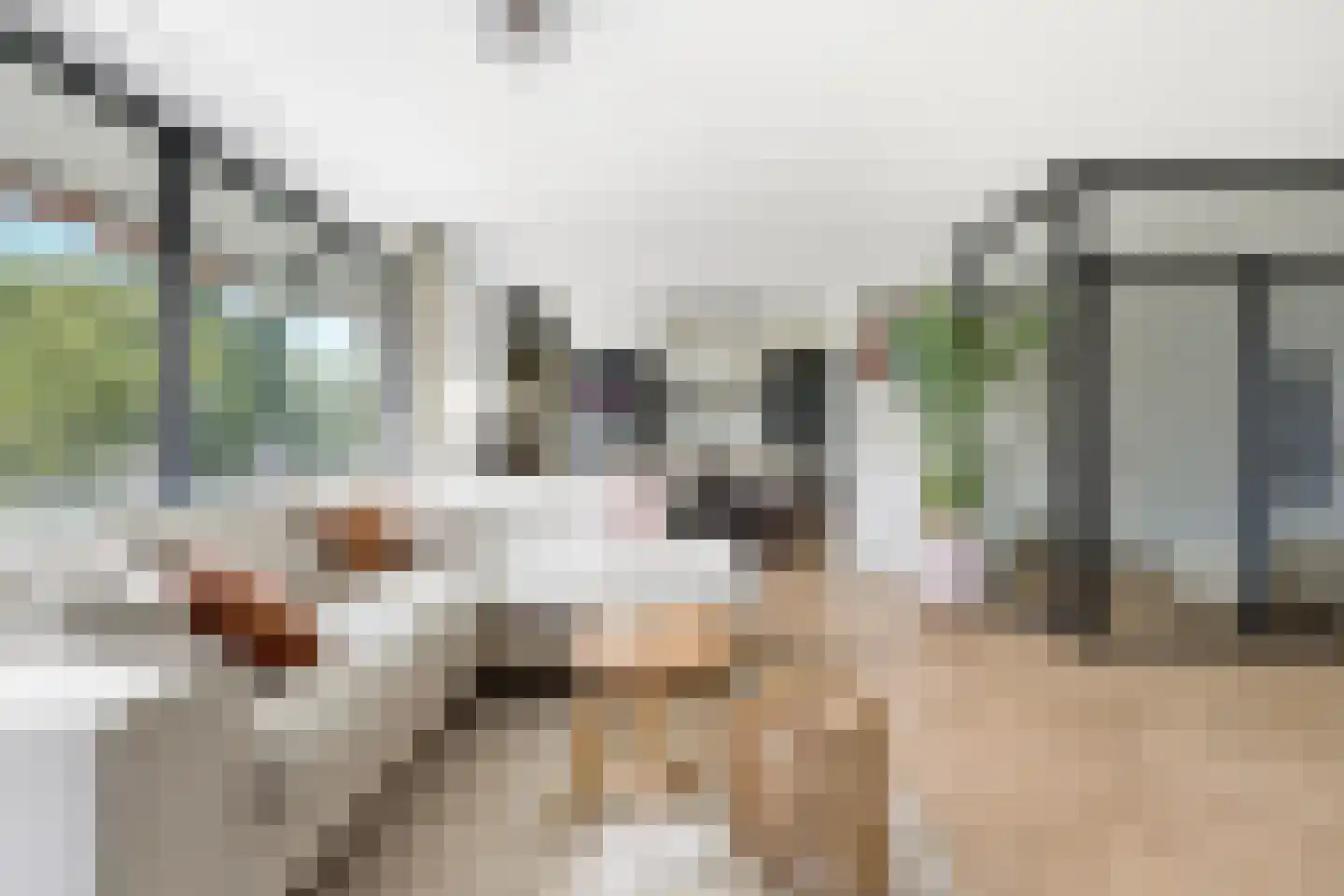 Seringenplantsoen 41 Ridderkerk thumbnail 4