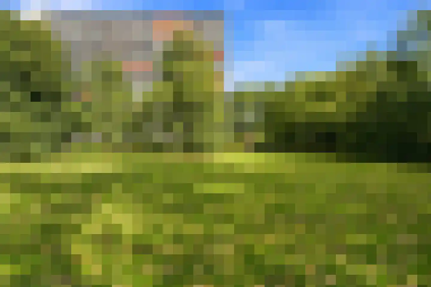Seringenplantsoen 41 Ridderkerk thumbnail 42