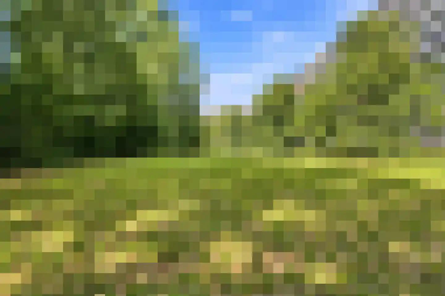 Seringenplantsoen 41 Ridderkerk thumbnail 44
