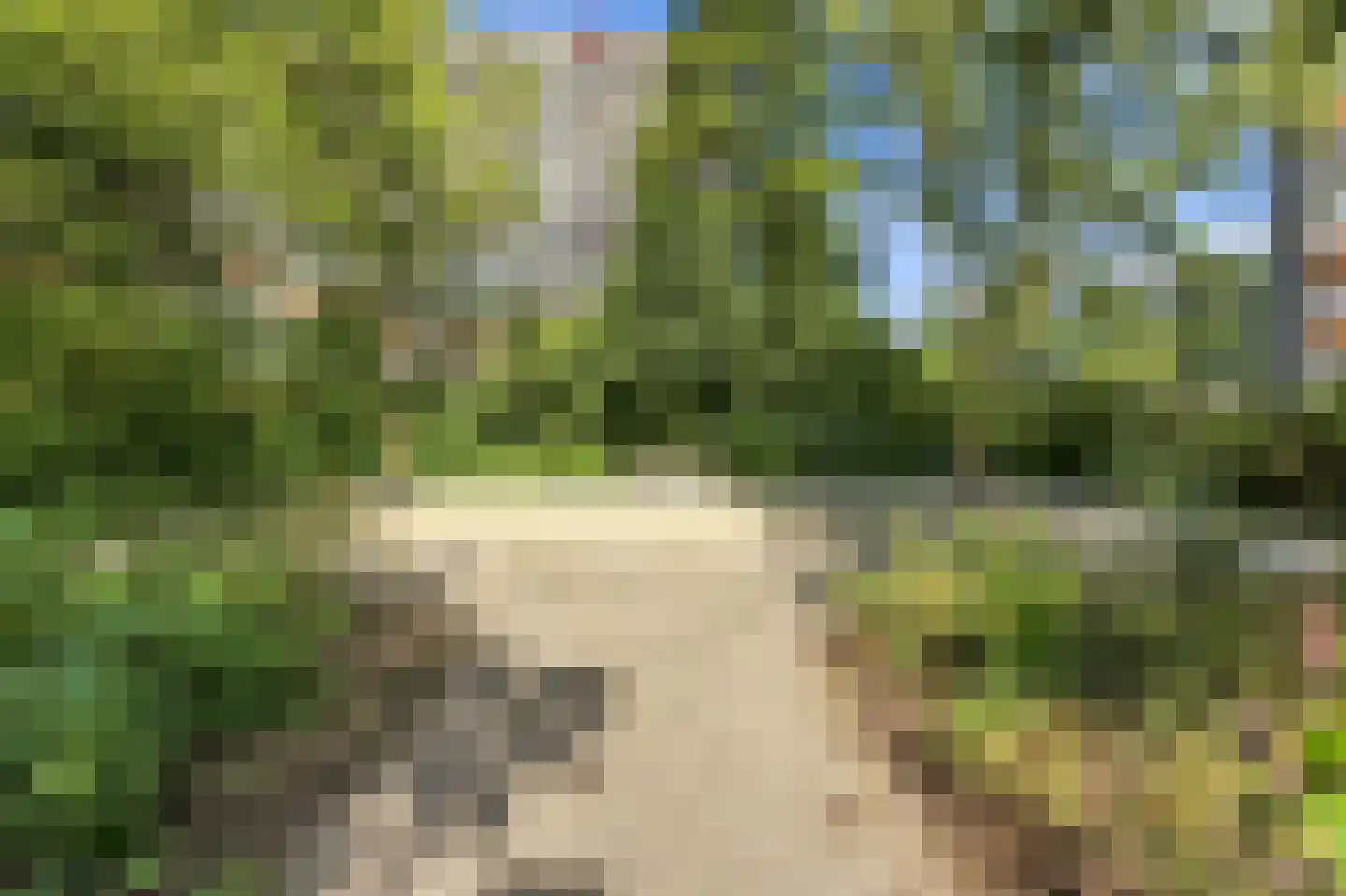 Seringenplantsoen 41 Ridderkerk thumbnail 45