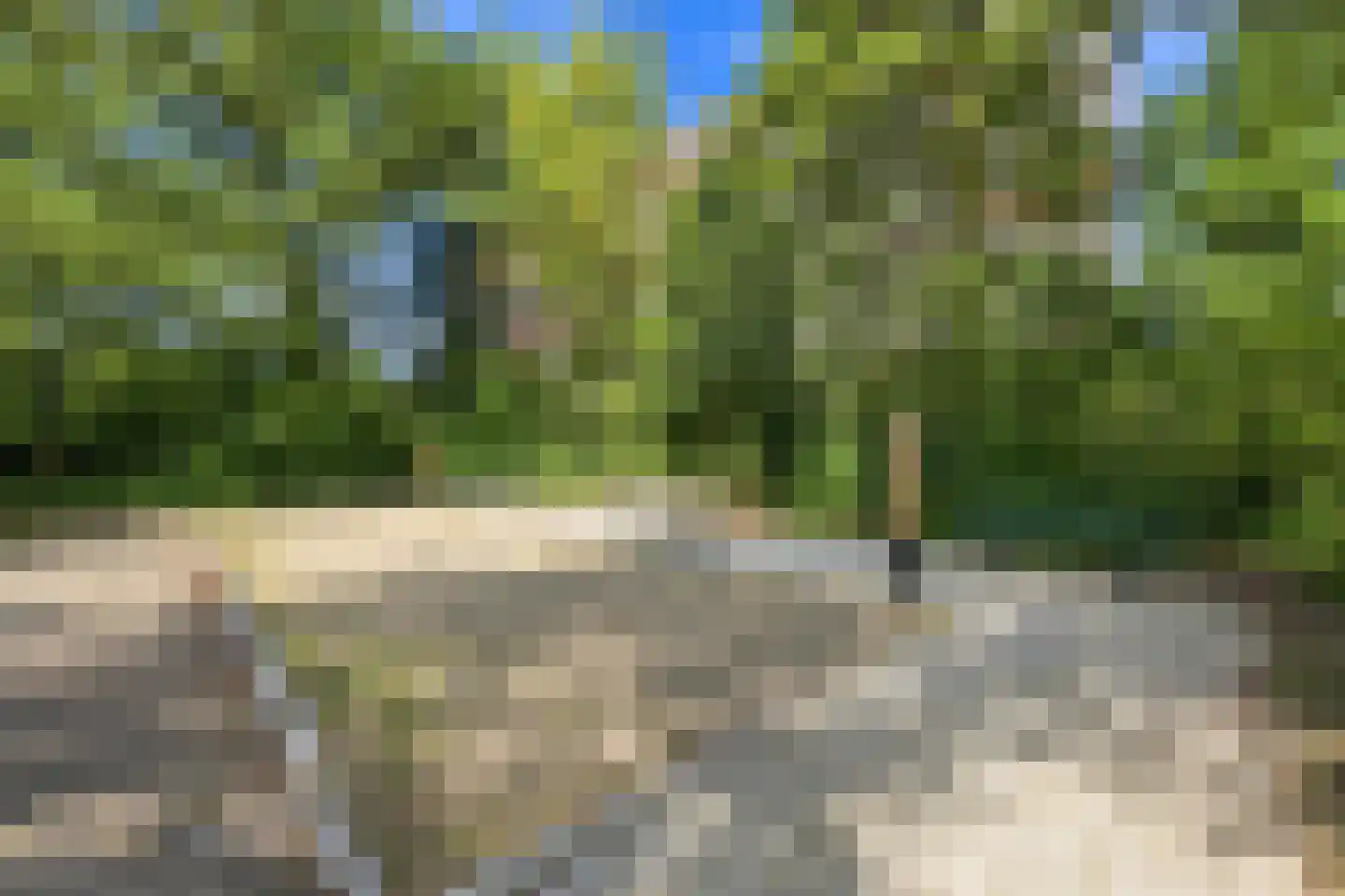 Seringenplantsoen 41 Ridderkerk thumbnail 46