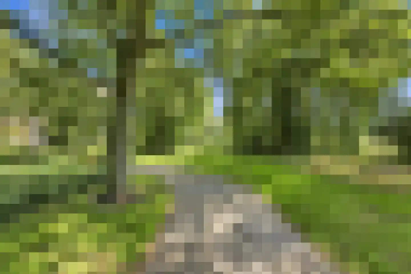 Seringenplantsoen 41 Ridderkerk thumbnail 47