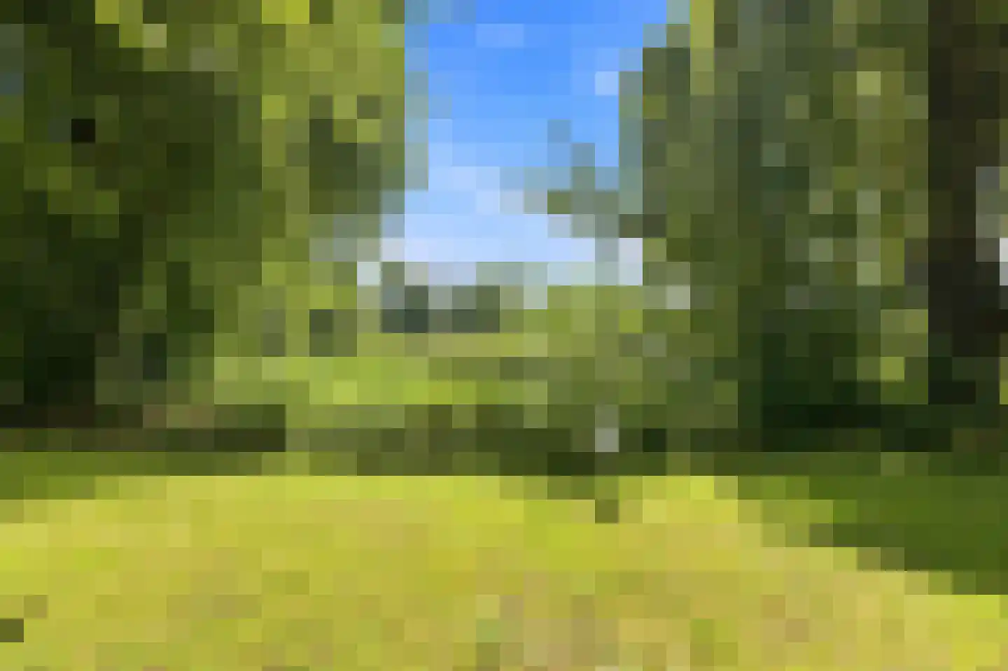 Seringenplantsoen 41 Ridderkerk thumbnail 48