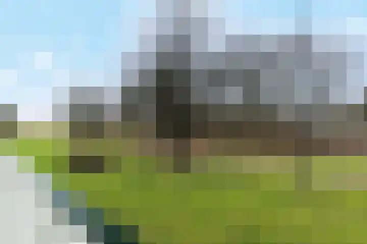 Seringenplantsoen 441 Ridderkerk thumbnail 24
