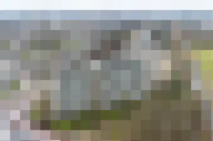 Seringenplantsoen 441 Ridderkerk thumbnail 25