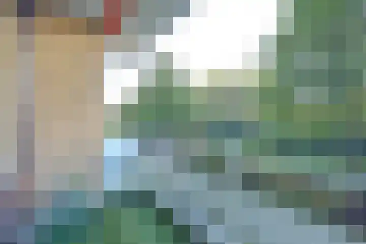 Seringenplantsoen 459 Ridderkerk thumbnail 27