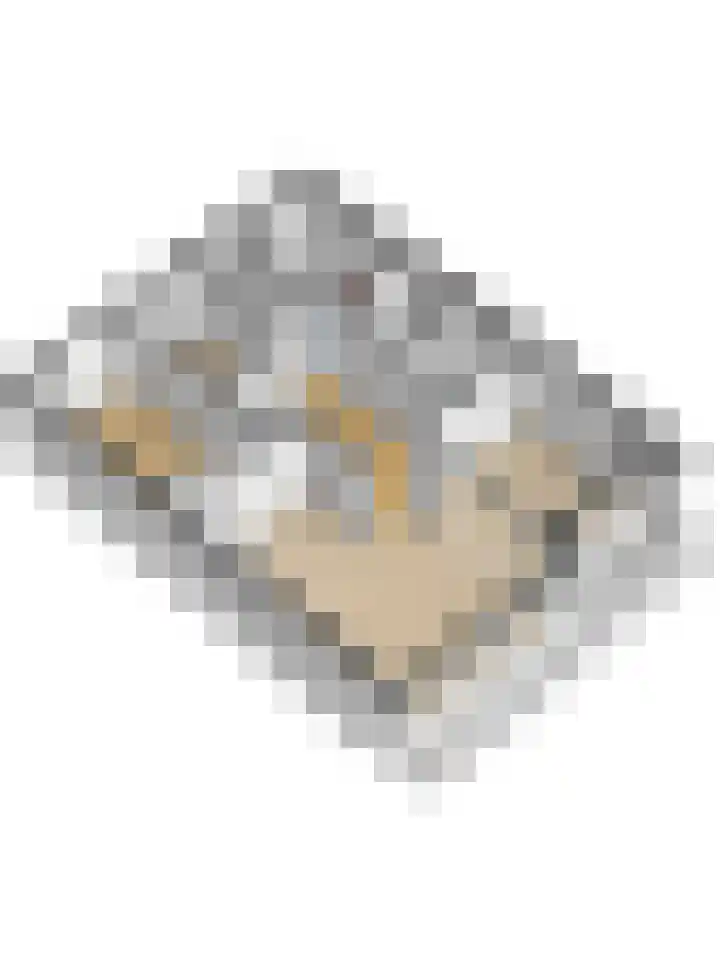 Seringenplantsoen 459 Ridderkerk thumbnail 29