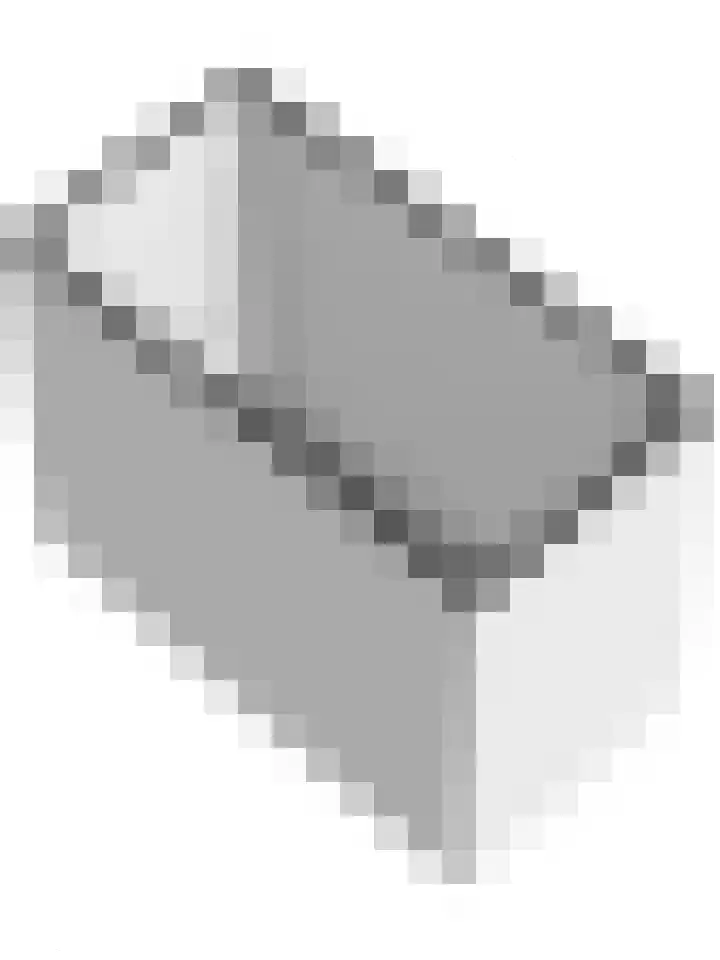 Seringenplantsoen 459 Ridderkerk thumbnail 31