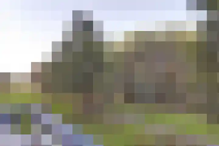 Seringenplantsoen 459 Ridderkerk thumbnail 5