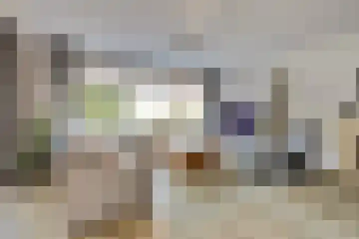 Seringenplantsoen 459 Ridderkerk thumbnail 9