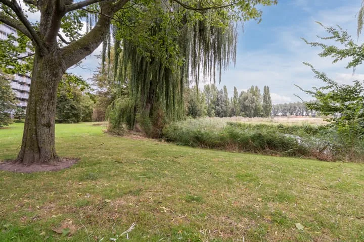 Seringenplantsoen 491 Ridderkerk thumbnail 41