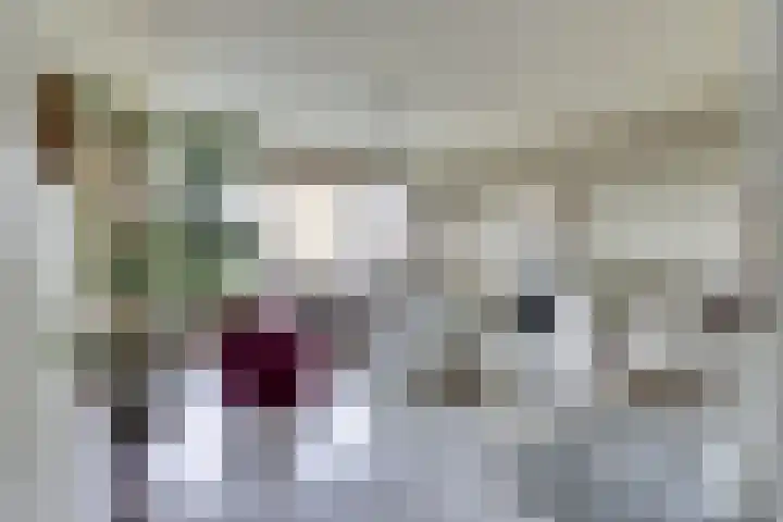 Seringenplantsoen 511 Ridderkerk thumbnail 10