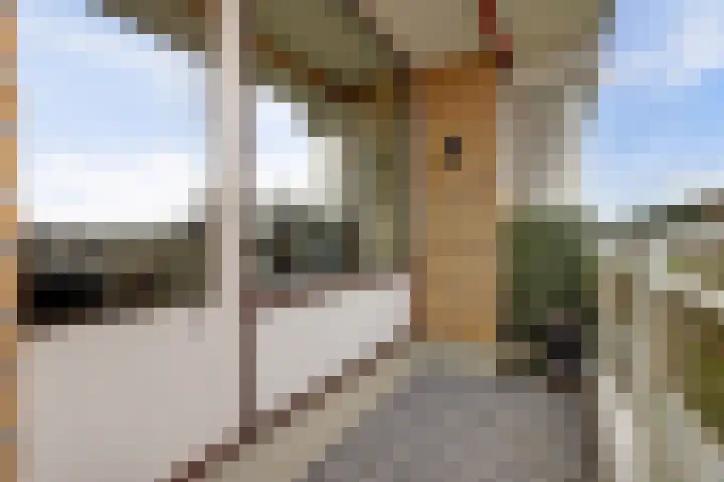 Seringenplantsoen 511 Ridderkerk thumbnail 15