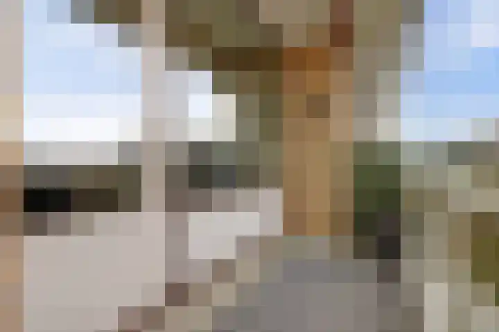 Seringenplantsoen 511 Ridderkerk thumbnail 15