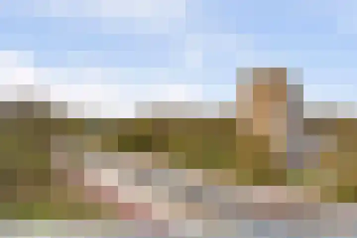Seringenplantsoen 511 Ridderkerk thumbnail 17