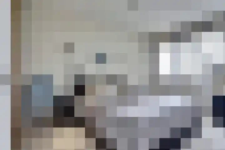 Seringenplantsoen 511 Ridderkerk thumbnail 21
