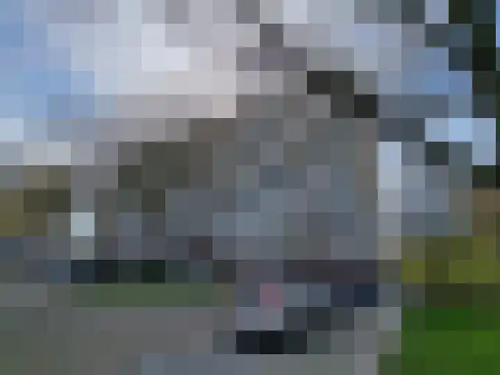 Seringenplantsoen 511 Ridderkerk thumbnail 29