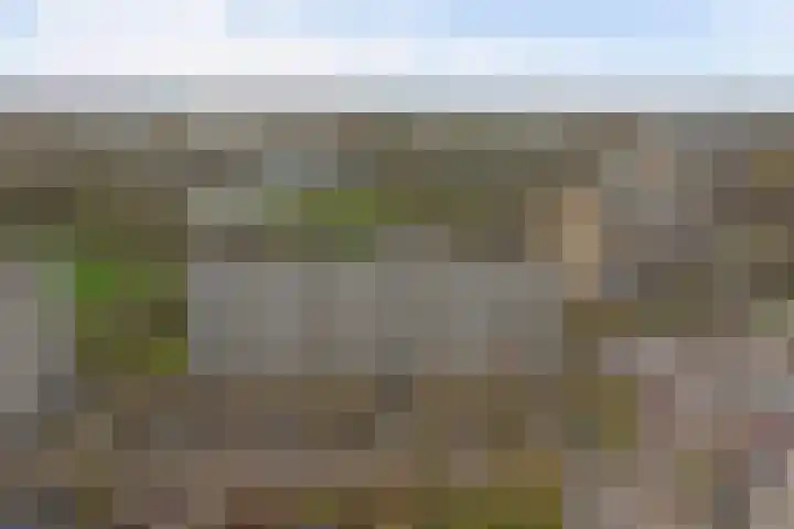 Seringenplantsoen 511 Ridderkerk thumbnail 33