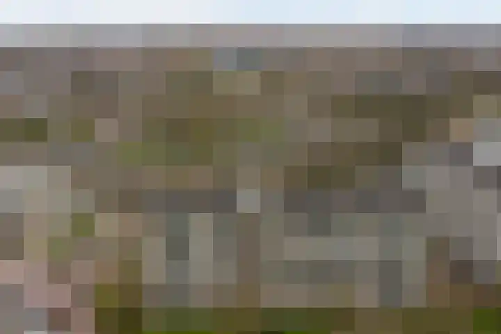 Seringenplantsoen 511 Ridderkerk thumbnail 34