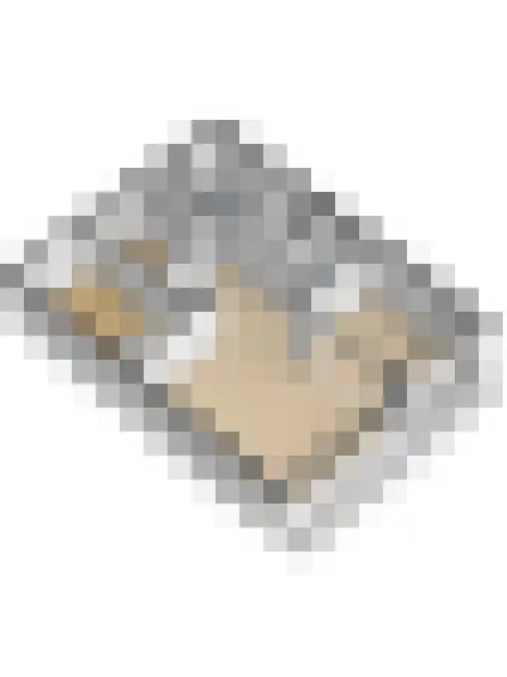 Seringenplantsoen 511 Ridderkerk thumbnail 36