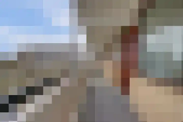 Seringenplantsoen 511 Ridderkerk thumbnail 4