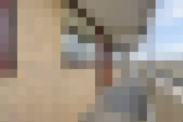 Seringenplantsoen 511 Ridderkerk thumbnail 5