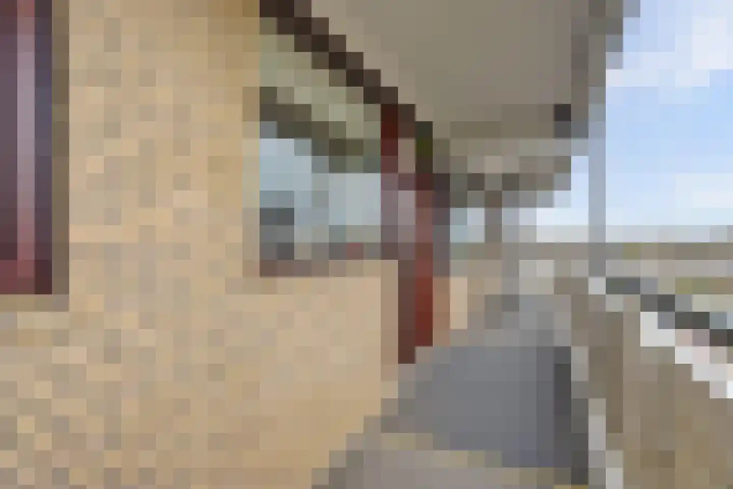 Seringenplantsoen 511 Ridderkerk thumbnail 5