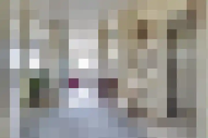 Seringenplantsoen 511 Ridderkerk thumbnail 9