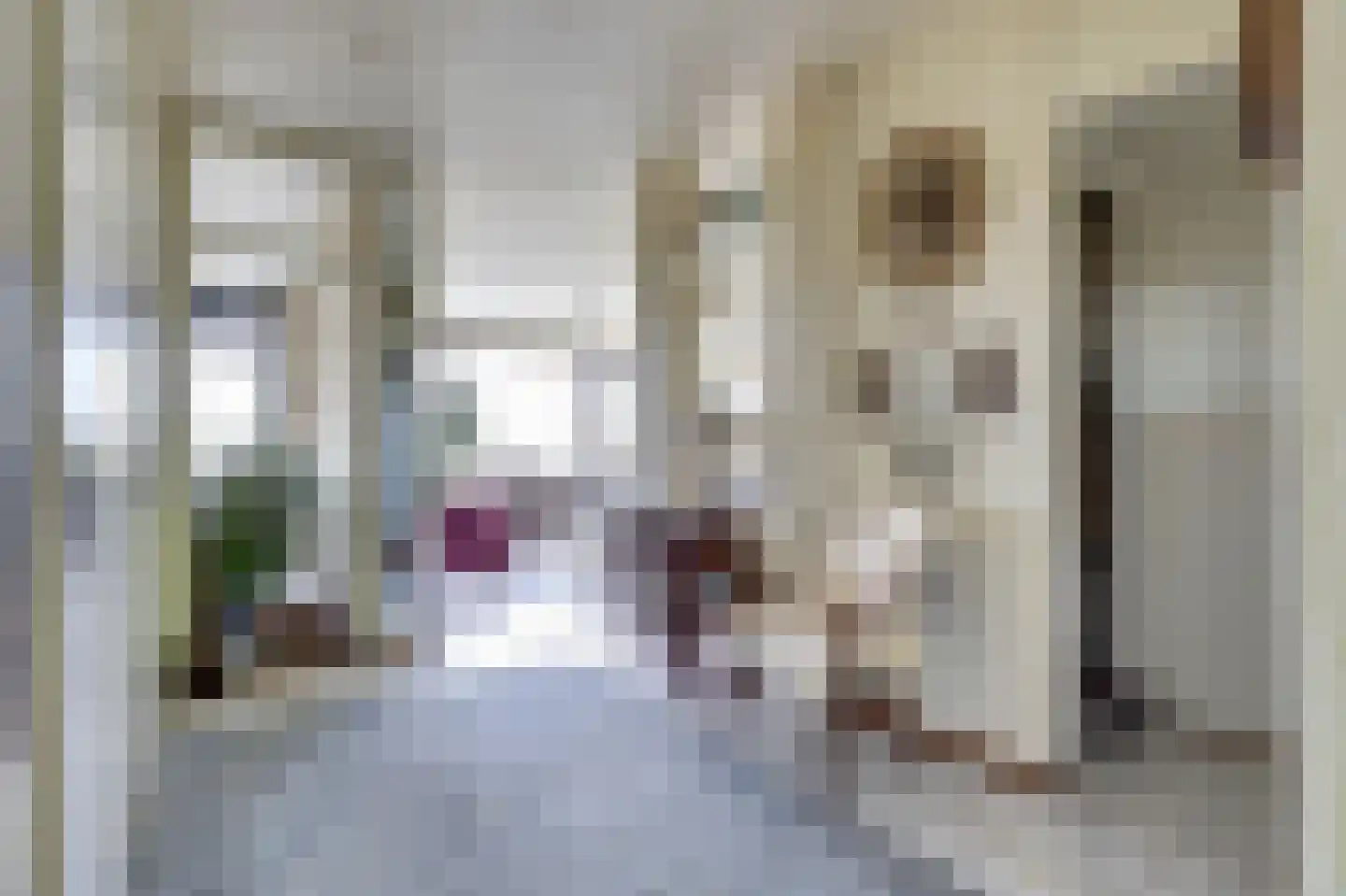 Seringenplantsoen 511 Ridderkerk thumbnail 9