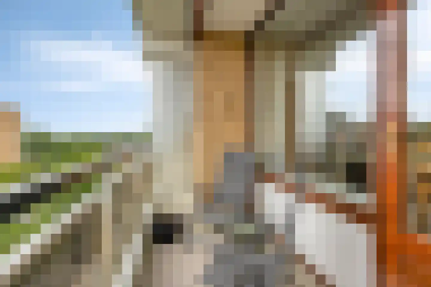 Seringenplantsoen 529 Ridderkerk thumbnail 12
