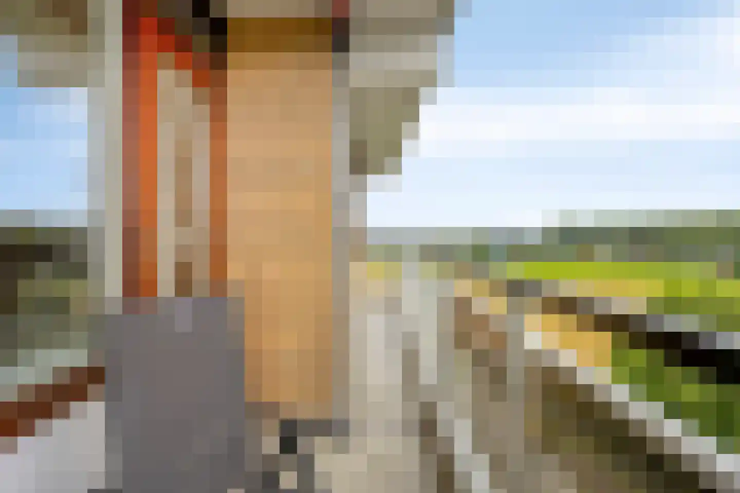 Seringenplantsoen 529 Ridderkerk thumbnail 13