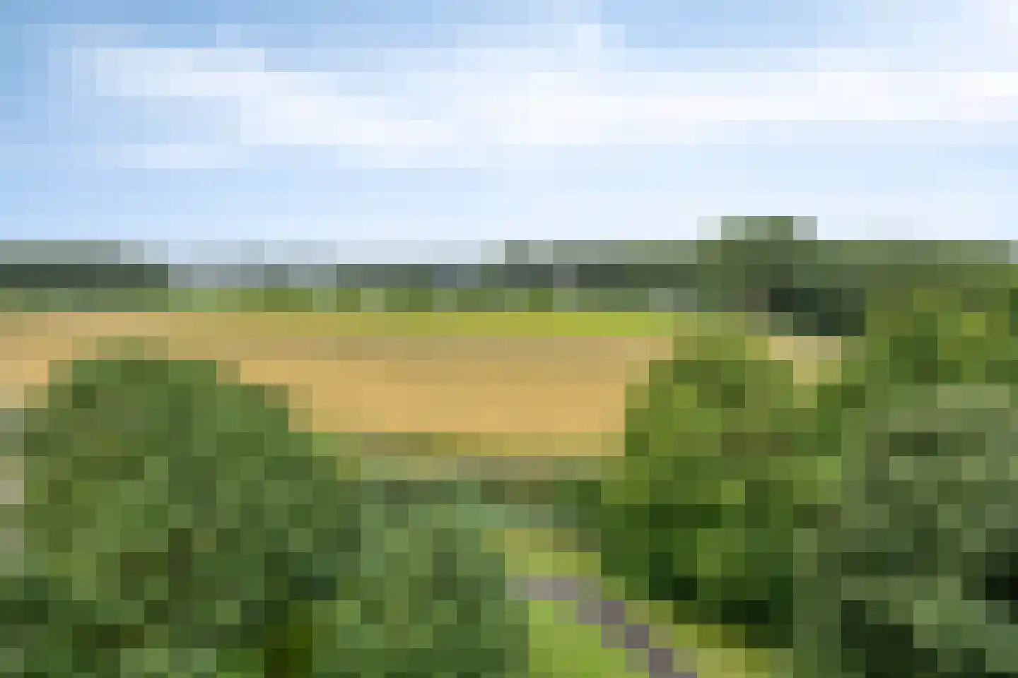 Seringenplantsoen 529 Ridderkerk thumbnail 14