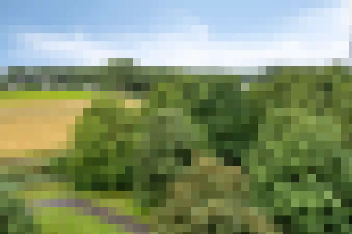 Seringenplantsoen 529 Ridderkerk thumbnail 15