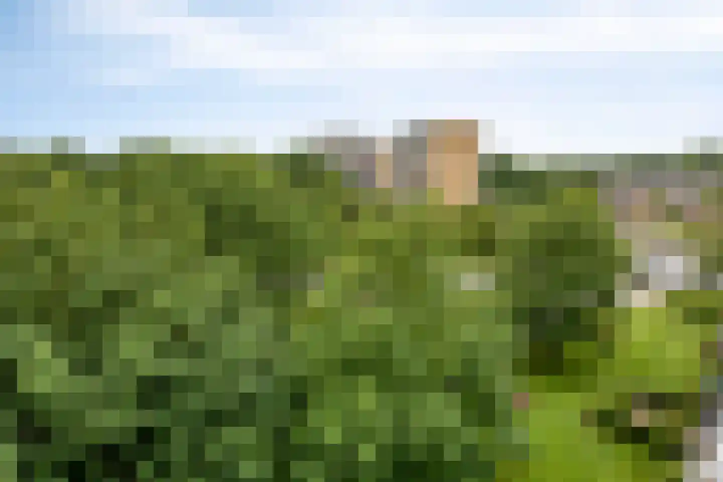 Seringenplantsoen 529 Ridderkerk thumbnail 16