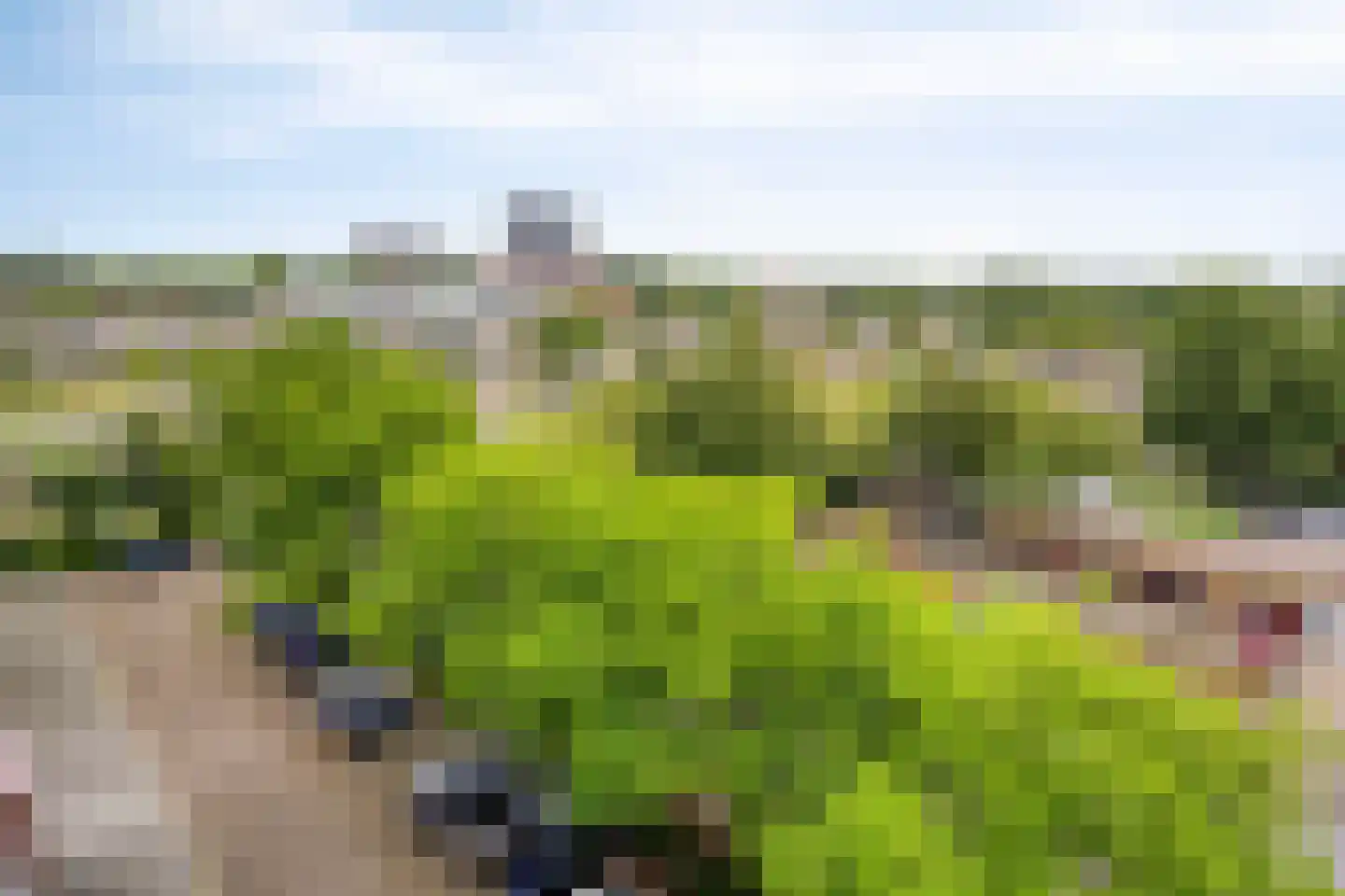 Seringenplantsoen 529 Ridderkerk thumbnail 28