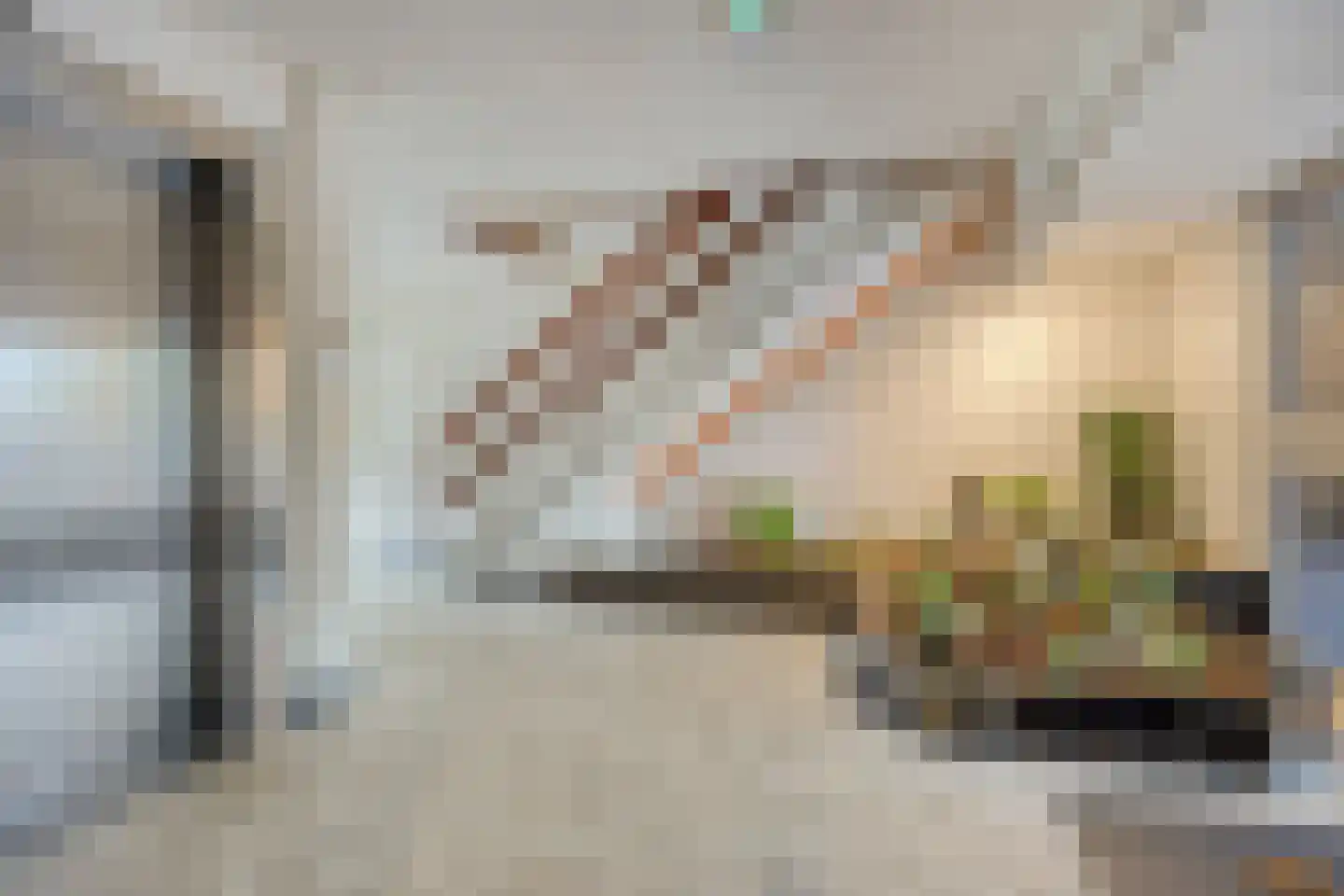 Seringenplantsoen 529 Ridderkerk thumbnail 36