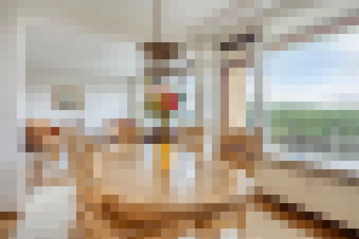 Seringenplantsoen 529 Ridderkerk thumbnail 8