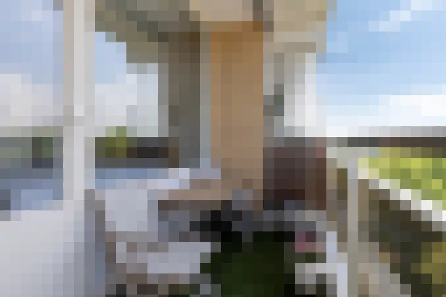 Seringenplantsoen 543 Ridderkerk thumbnail 18