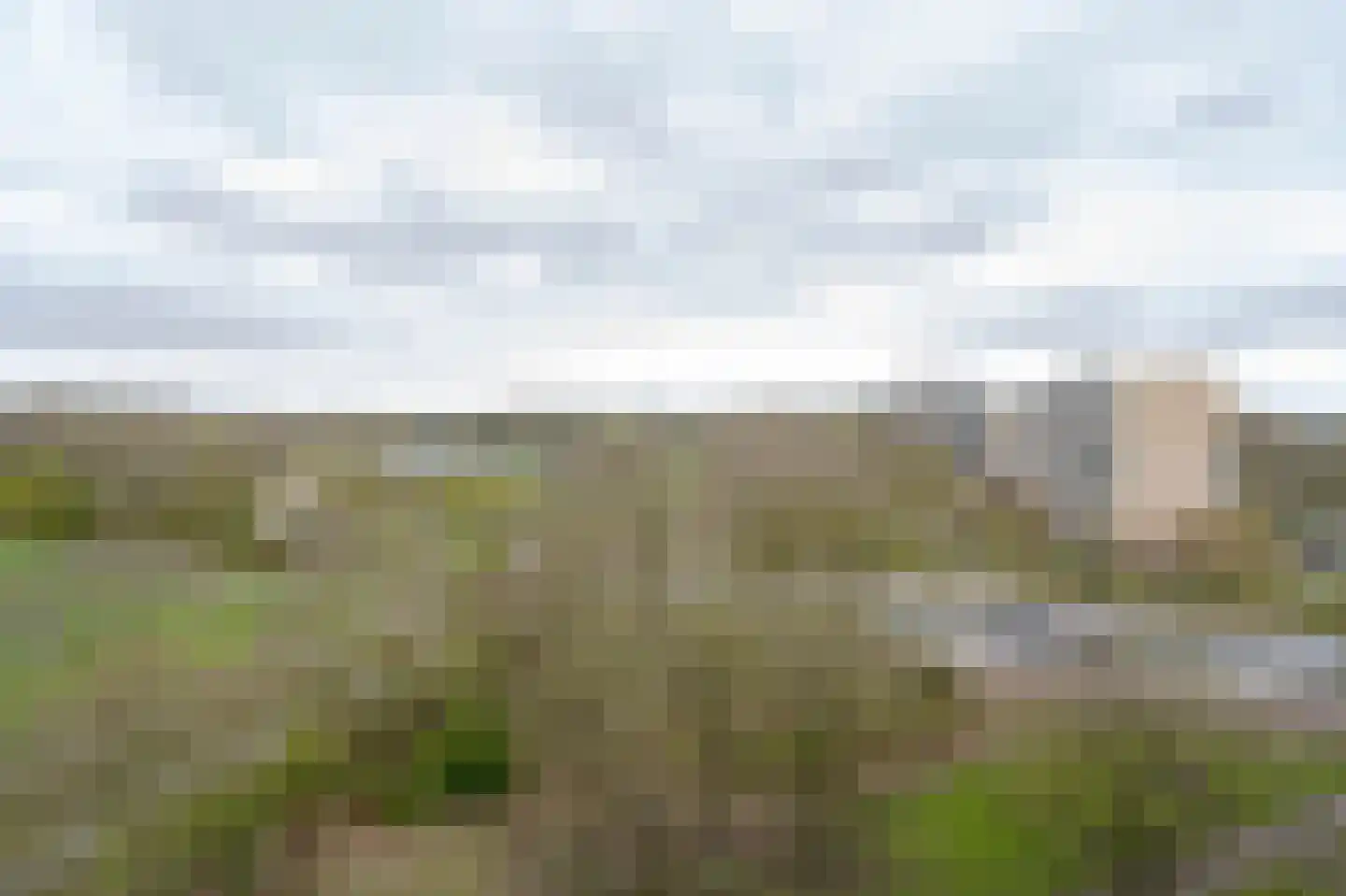 Seringenplantsoen 545 Ridderkerk thumbnail 15